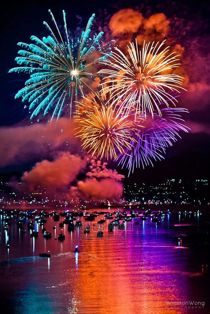 Professional Fireworks Display
