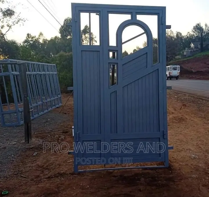 Beautiful Steel Maindoor