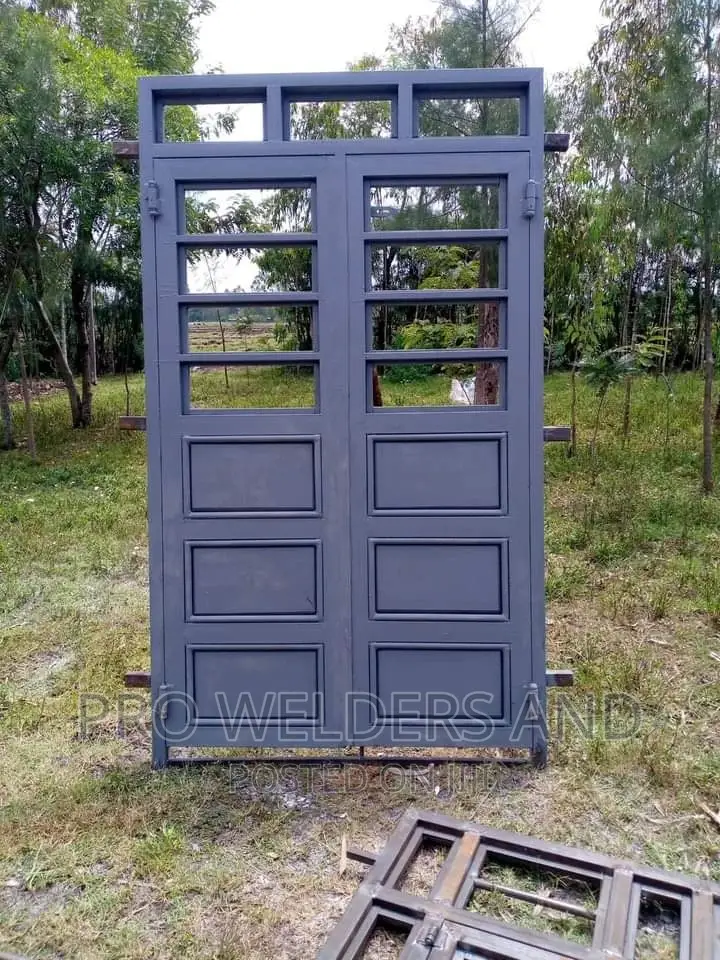 Beautiful Steel Maindoor
