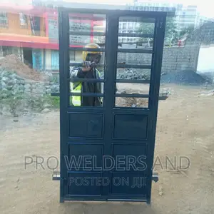 Beautiful Steel Maindoor