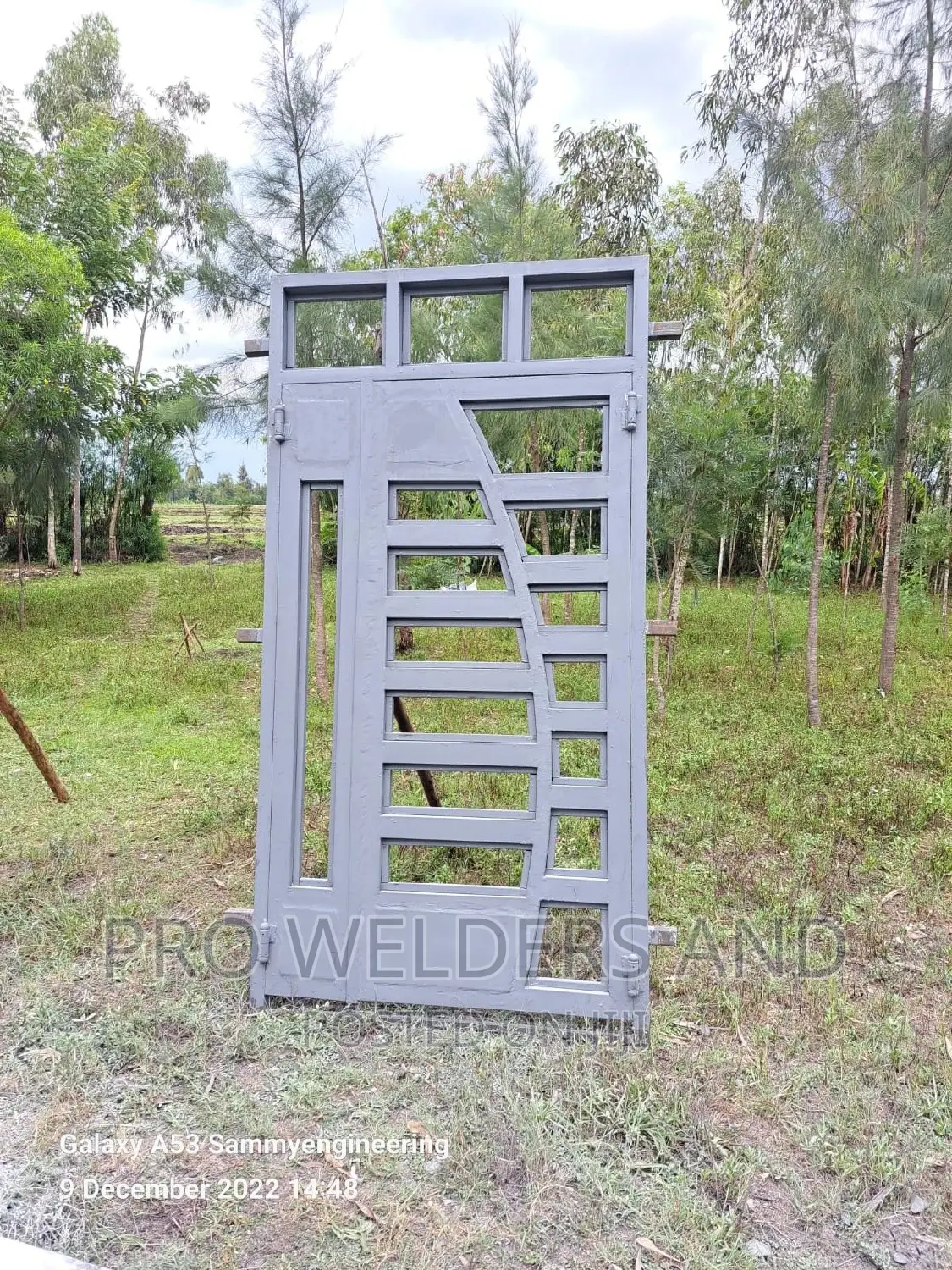 Beautiful Steel Maindoor