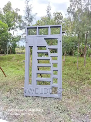 Beautiful Steel Maindoor