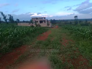 Residential Plot for Sale Matrofi Estate Tinganga