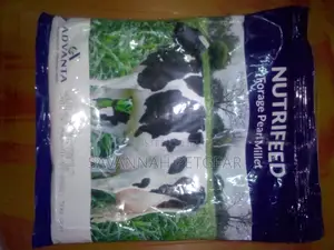 Nutrifeed Forage Pearl Millet Seeds 500gm