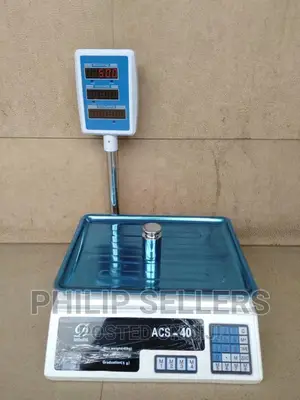 Electronic Price Computing Weighing Scale 30kg