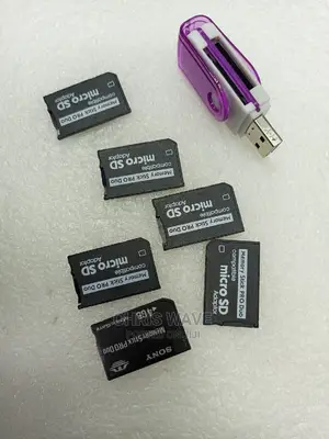 Sony Pro Duo Card