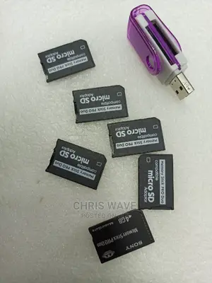 Sony Pro Duo Card
