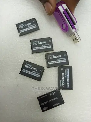 Sony Pro Duo Card