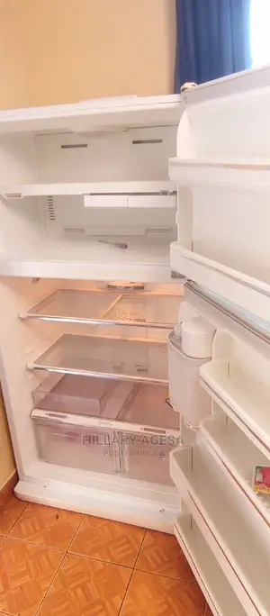 Fridge Repair Services