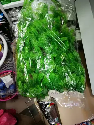 Long Aquarium Plants 2feet Height