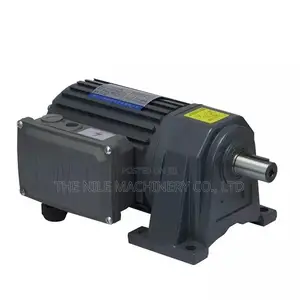 Vertical Mount Electric Motor