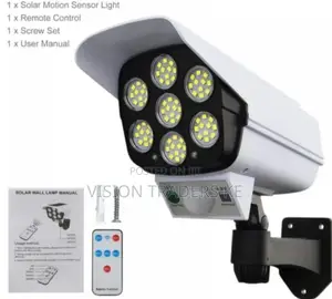 Solar Motion Sensor Light