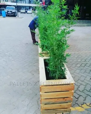 Pallets Planters
