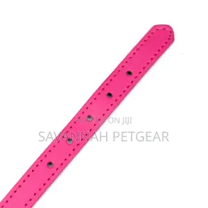 Petsmart PU Leather Cat Collar With Bell
