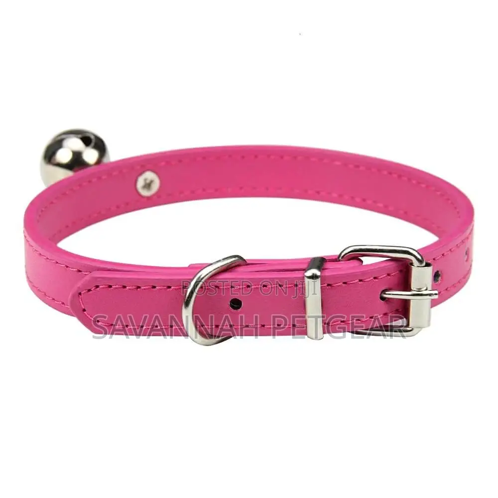 Petsmart PU Leather Cat Collar With Bell