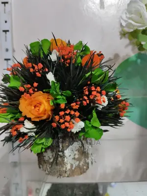 Preserved Flowers