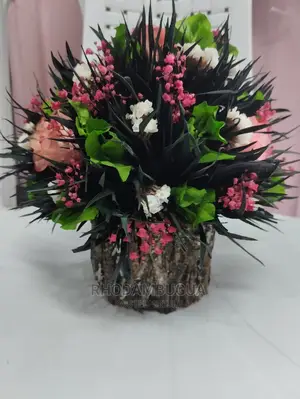 Preserved Flowers