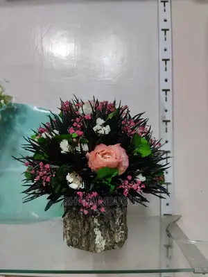 Preserved Flowers