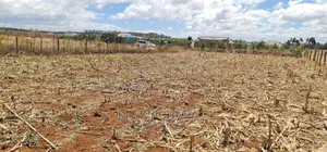 Big 1⁄4 Plot for Sale in Chepkanga Mwisho Wa Lami Eldoret
