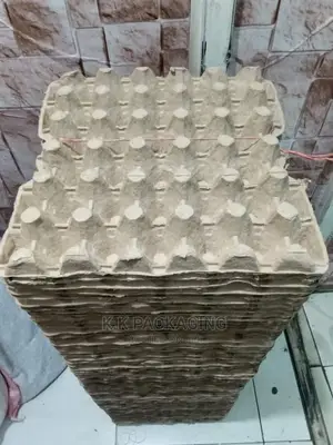 Egg Trays At 20