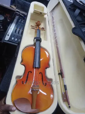 Violin 4/4 Suzuki Wood