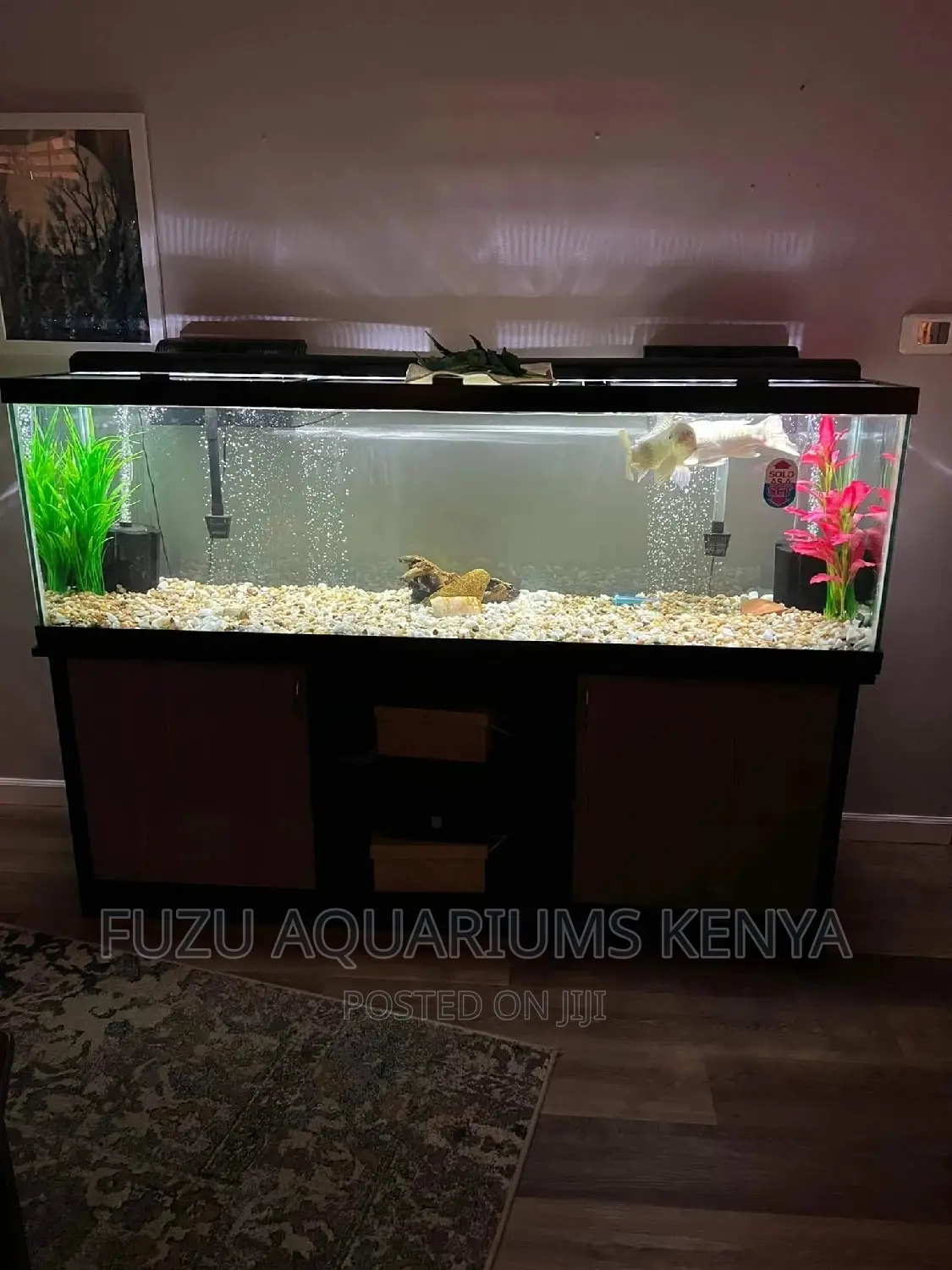 5feet Aquarium