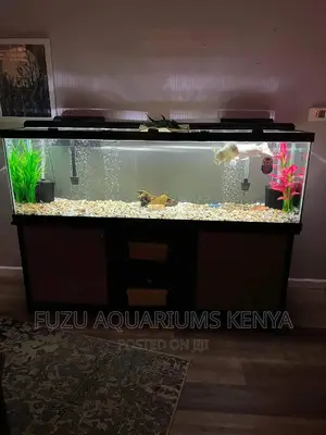 5feet Aquarium
