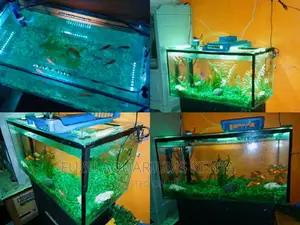 Aquarium Carpet Grass (Artifical)
