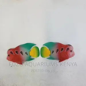 Artifical Aquarium Fish