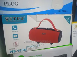 Webster WS-1838 Wireless Speaker