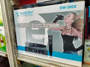 Professional Wireless Microphone