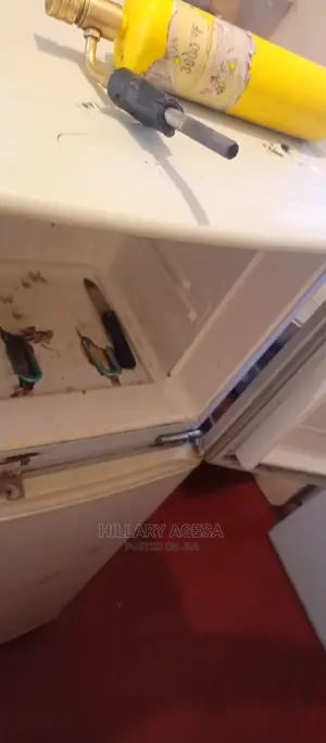 Fridge Repair Services