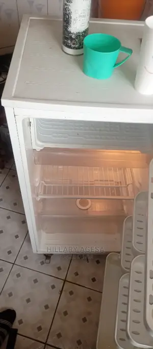 Fridge Repair Services