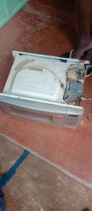 Microwave Repair Services