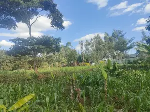 Nyeri/ Chorong'i 50/100 Plot