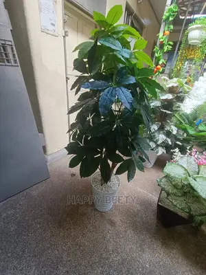 #Big Size Artificial Plants
