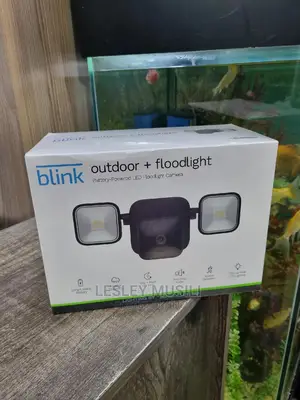 Blink Outdoor +Floodlight Camera