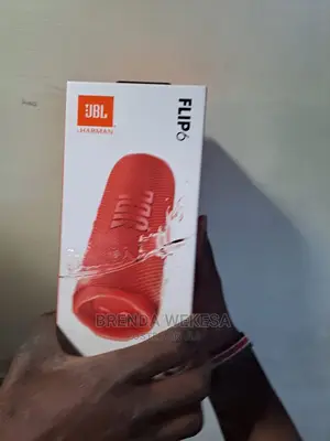JBL Flip 6