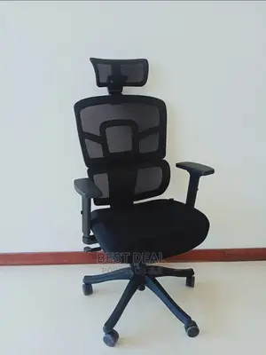 Orthopedic Mesh Chair