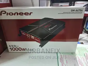 Pioneer 1000 Watts Booster