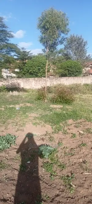 Half an Acre for Sale in Bulbul Ngong