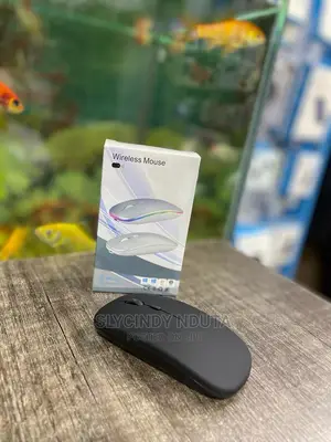 Wireless Mouse Rechargeable