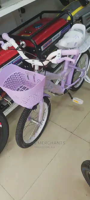 Lady's Bicycle Size 16