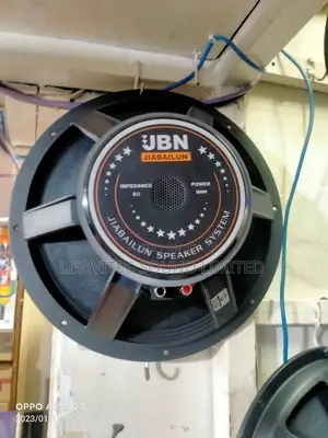 JBN 15 Inch Naked Speaker