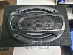 Single 600 Watts Pioneer Oval Midrange With Cabinet