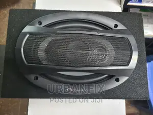 Pioneer 600 Watts Single Midrange Speaker