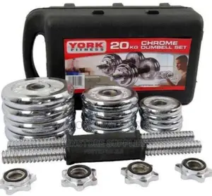 Chrome Dumbbell 20kgs