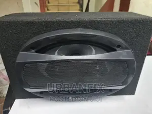 Pioneer Oval Midrange 600 Watts Speaker