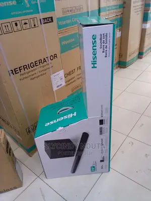 Hisense HS219(330 Watts)