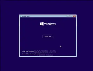 Windows and Office Installation
